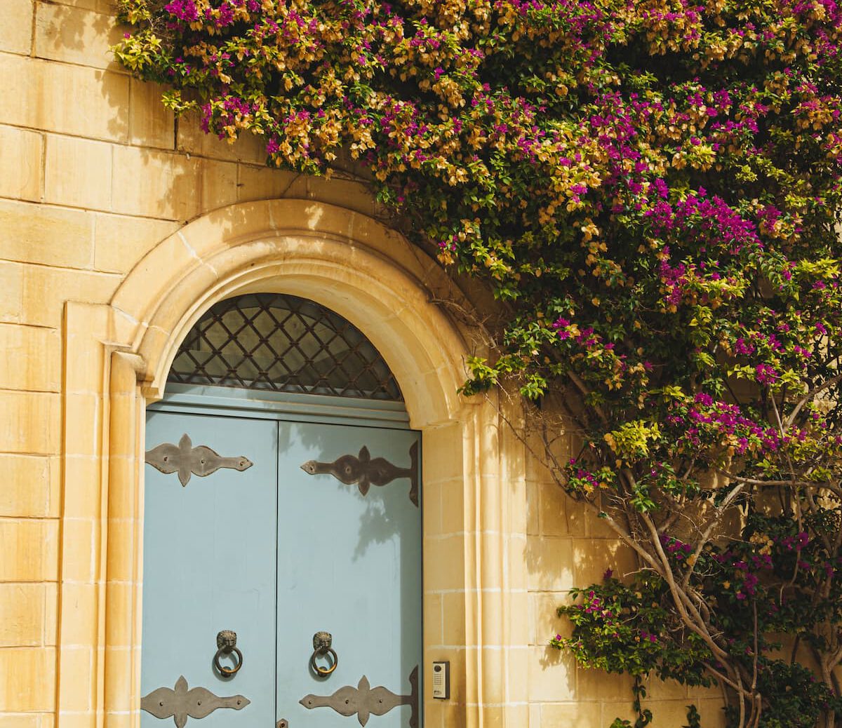 puerta-metalica-antiguo-edificio-blanco-decorado-planta-flores