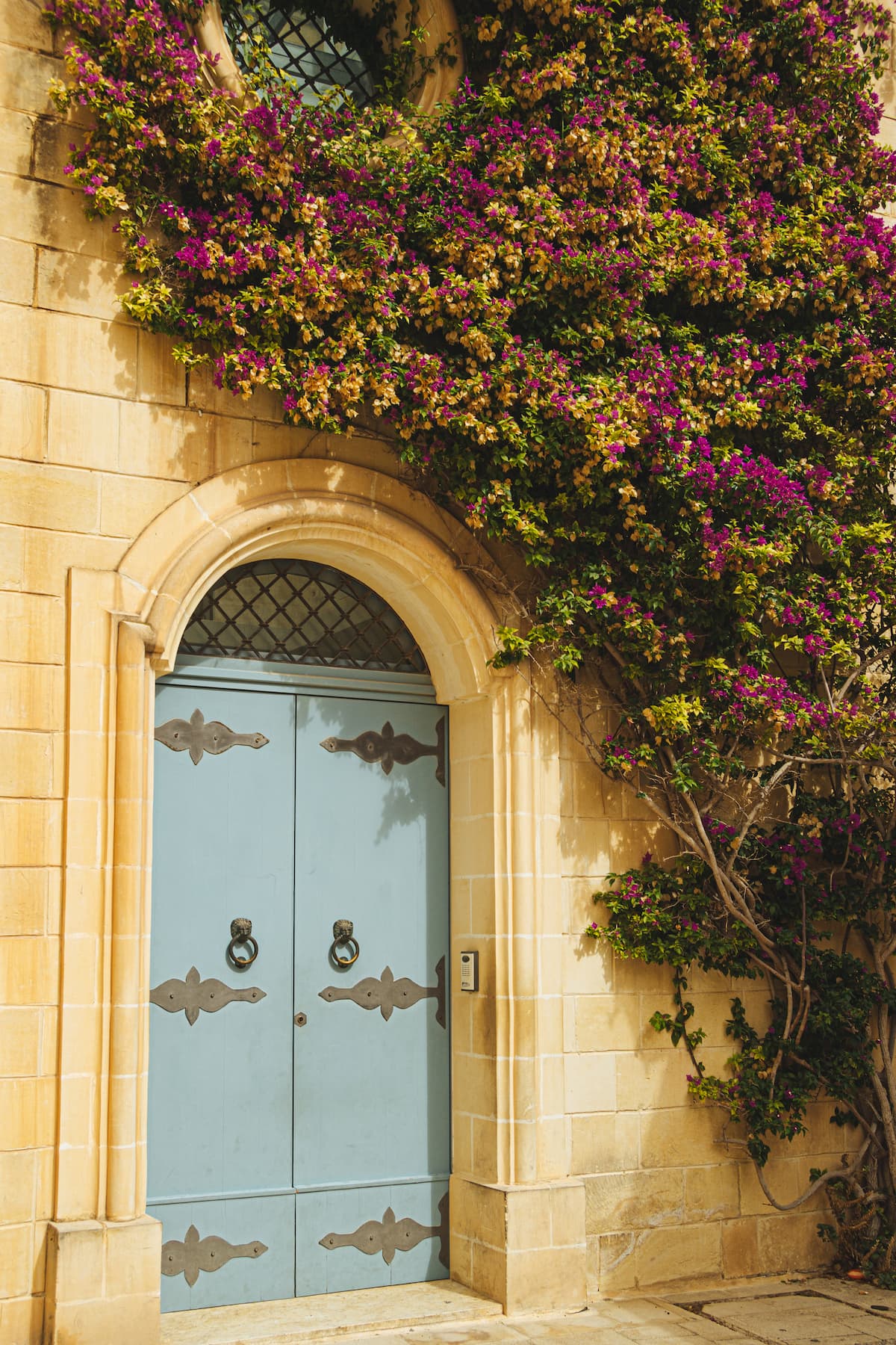 puerta-metalica-antiguo-edificio-blanco-decorado-planta-flores